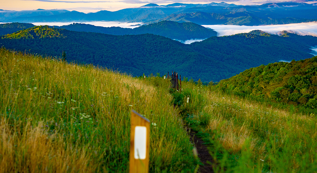 trail